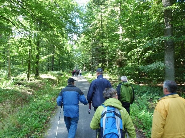 WANDERN