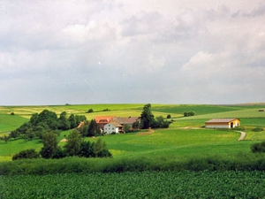 Ferienwohnung Nüse