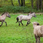 Ein wundervolles Ausflugsziel.  …